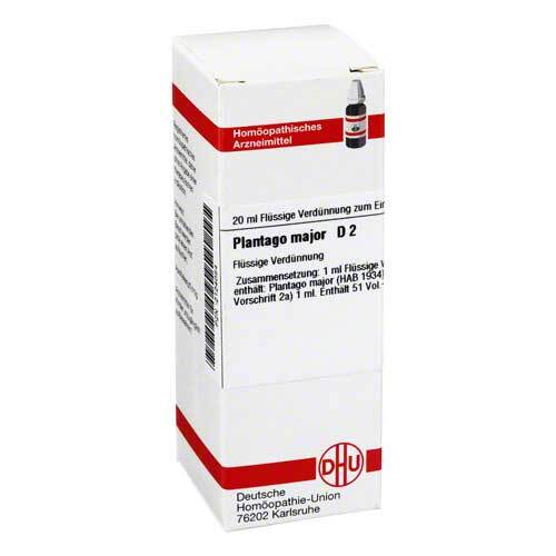 PLANTAGO MAJOR D 2 Dilution - 1