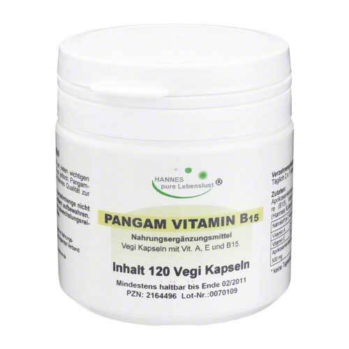 Pangam Vitamin B15 Kapseln - 1