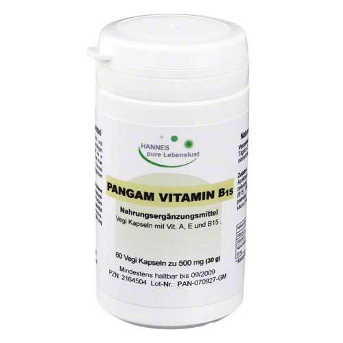 PANGAM Vitamin B15 Kapseln - 1