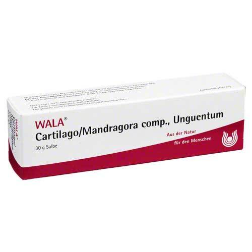 Cartilago / Mandragora comp Unguentum - 1