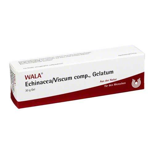 Echinacea / Viscum comp.Gelatum - 1