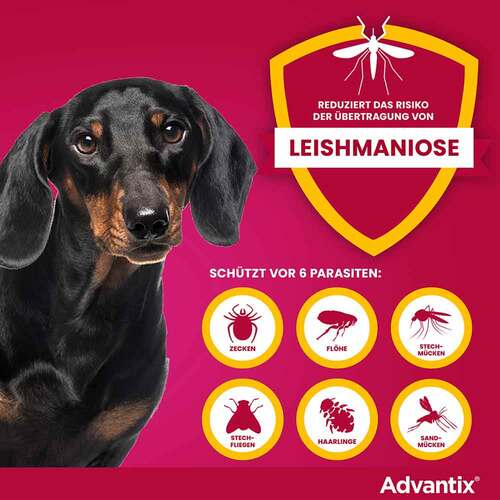 Advantix Spot-on L&ouml;sung z.Auftr.a.d.H.f&uuml;r Hund bis 4 kg - 4
