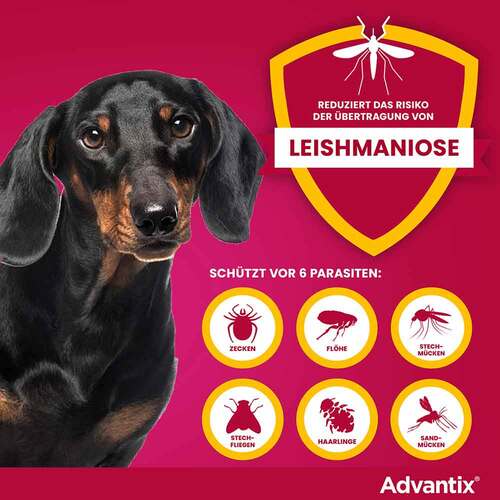 Advantix Spot-on L&ouml;sung z.Auftr.a.d.H.f&uuml;r Hund 4-10 kg - 4