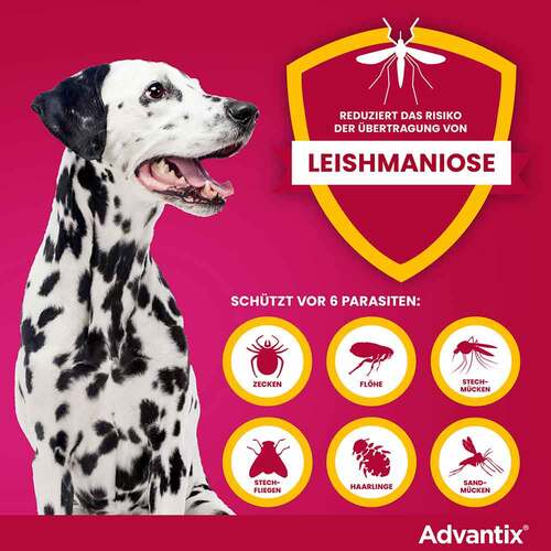 Advantix Spot-on L&ouml;sung z.Auftr.a.d.H.f&uuml;r Hund 10-25 kg - 4