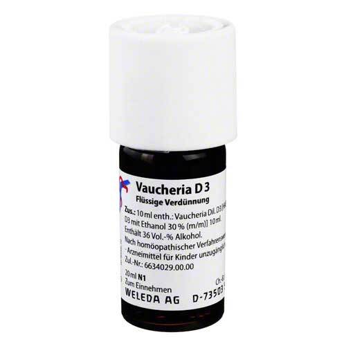 VAUCHERIA D 3 Dilution - 1