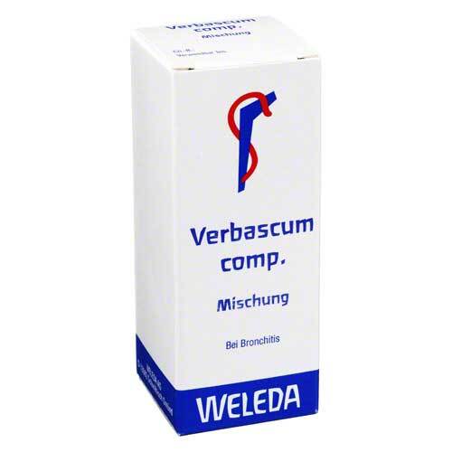 Verbascum comp.Mischung - 1