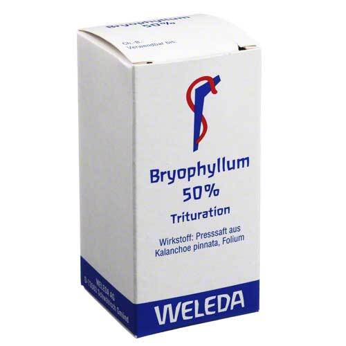 Bryophyllum 50% Pulver zum Einnehmen - 1