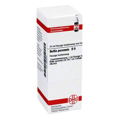 BELLIS PERENNIS D 6 Dilution - 1