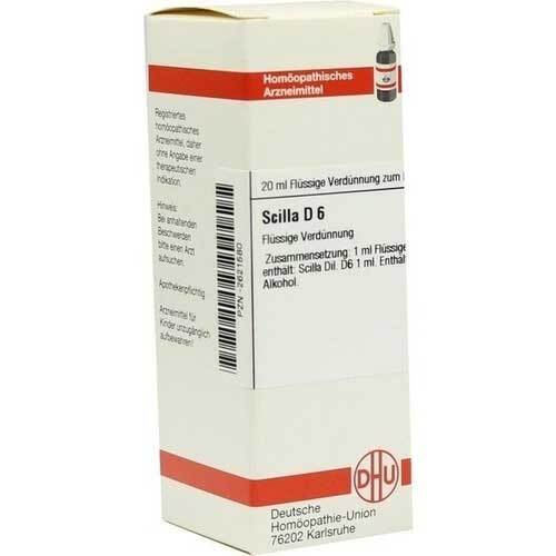 SCILLA D 6 Dilution - 1