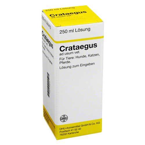 Crataegus Dilution vet. (f&uuml;r Tiere) - 1