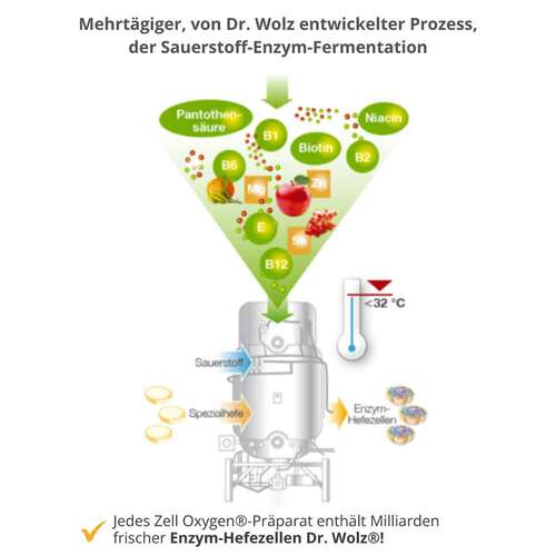 ZELL OXYGEN ZYM Anti-Aging 14 Tage Kombipackung - 4