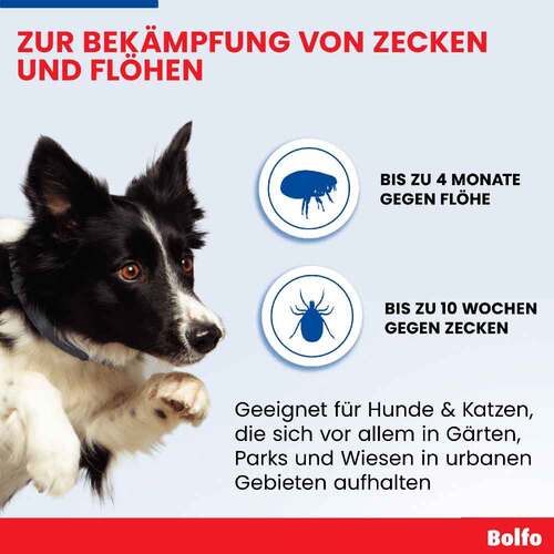 Bolfo Flohschutzband braun f&uuml;r kleine Hunde / Katzen - 5