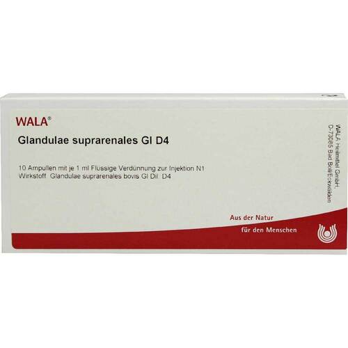 GLANDULAE SUPRARENALES GL D 4 Ampullen - 1