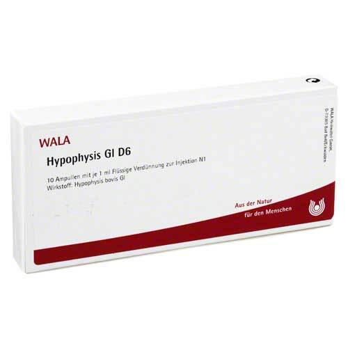 HYPOPHYSIS GL D 6 Ampullen - 1