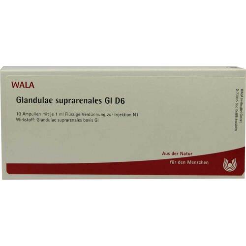 GLANDULAE SUPRARENALES GL D 6 Ampullen - 1
