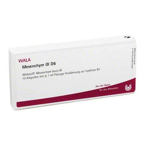 MESENCHYM GL D 6 Ampullen - 1