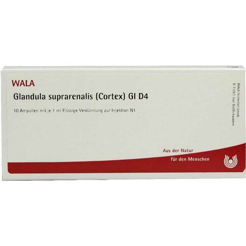 GLANDULA SUPRARENALIS cortex GL D 4 Ampullen - 1