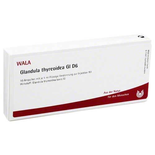 GLANDULA THYREOIDEA GL D 6 Ampullen - 1