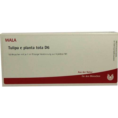 TULIPA e planta tota D 6 Ampullen - 1