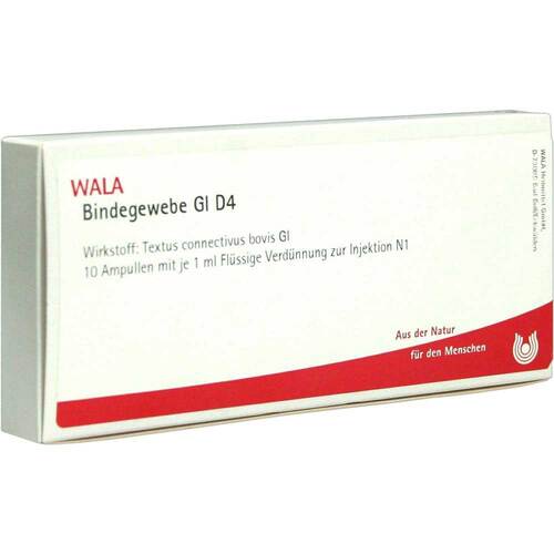 BINDEGEWEBE GL D 4 Ampullen - 1