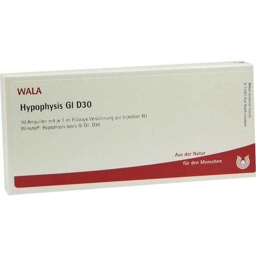 HYPOPHYSIS GL D 30 Ampullen - 1