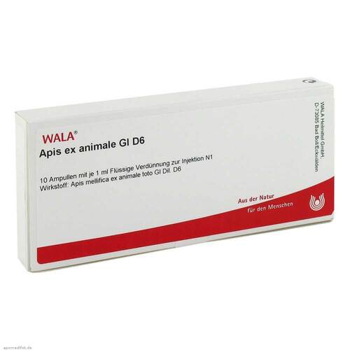 APIS EX animale GL D 6 Ampullen - 1