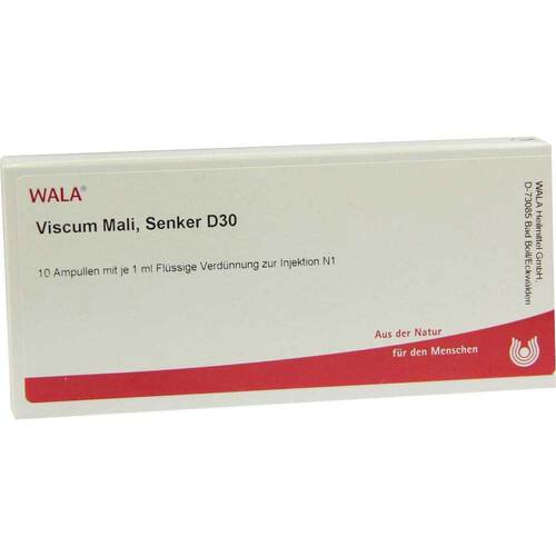 VISCUM MALI Senker D 30 Ampullen - 1
