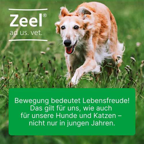 Zeel ad us.vet.Tabletten - 2