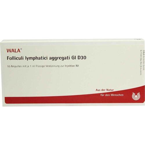 FOLLICULI LYMPHATICI aggregati GL D 30 Ampullen - 1
