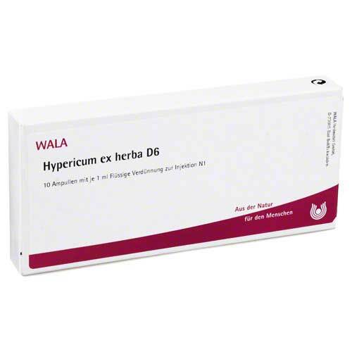 HYPERICUM EX Herba D 6 Ampullen - 1