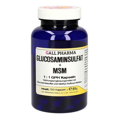 Glucosaminsulfat + Msm 1:1 Gph Kapseln - 1