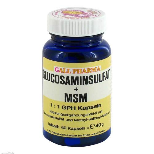 Glucosaminsulfat + Msm 1:1 Gph Kapseln - 1