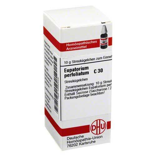 Eupatorium perfoliatum C 30 Globuli - 1