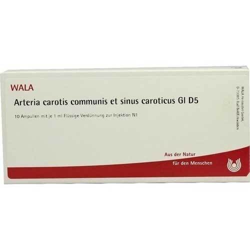 Arteria Carotis Communis et sin.carot.GL D 5 Ampulle  - 1