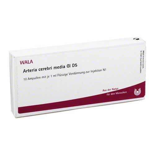 ARTERIA CEREBRI media GL D 5 Ampullen - 1