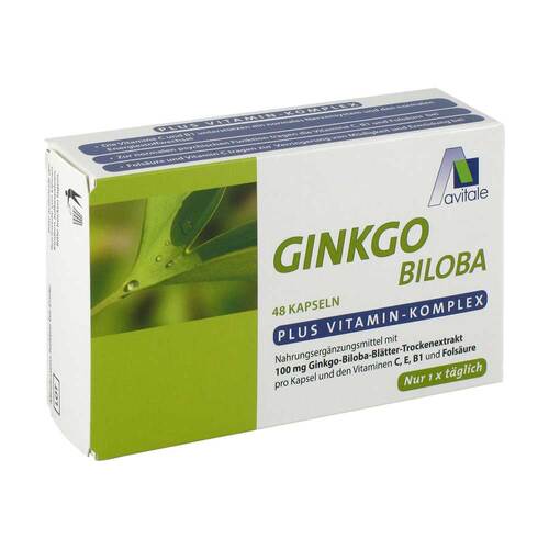 Ginkgo 100 mg Kapseln + B1+C+E - 1