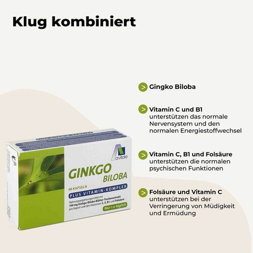 Ginkgo 100 mg Kapseln + B1+C+E - 2