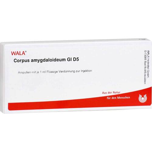 CORPUS AMYGDALOIDEUM GL D 5 Ampullen - 1