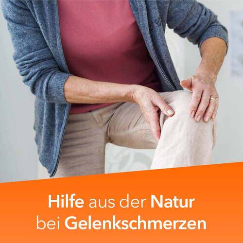 Teufelskralle-Ratiopharm Filmtabletten - 2