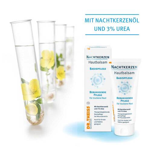 DR.THEISS Nachtkerzen Hautbalsam - 6
