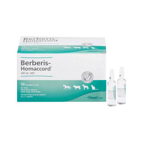 Berberis Homaccord ad us.vet.Ampullen - 1