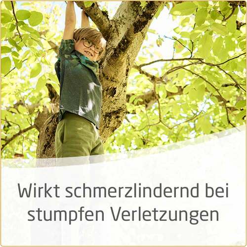 Weleda Arnika Salbe 30% - 3