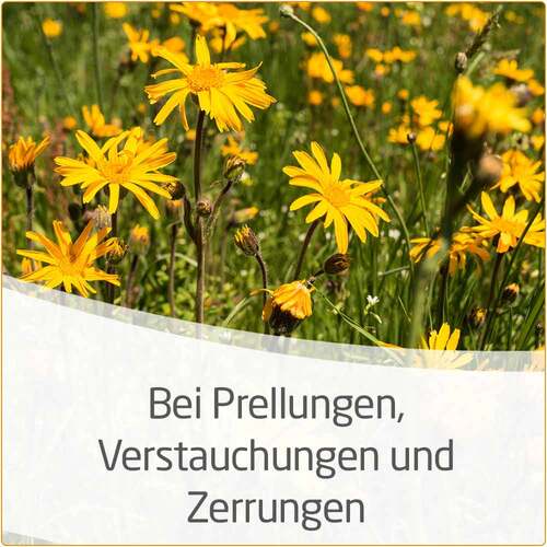 Weleda Arnika Salbe 30% - 5