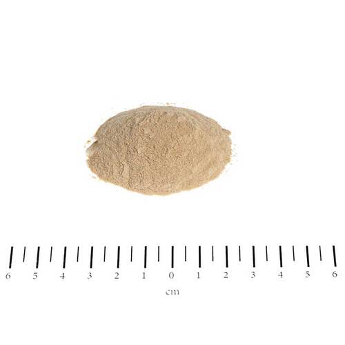 Biotin Forte Pulver vet. (f&uuml;r Tiere) - 2
