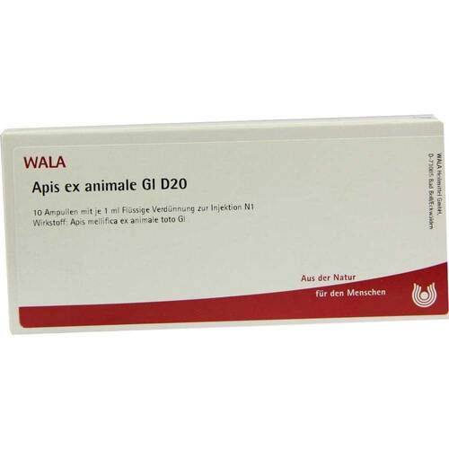 APIS EX animale GL D 20 Ampullen - 1