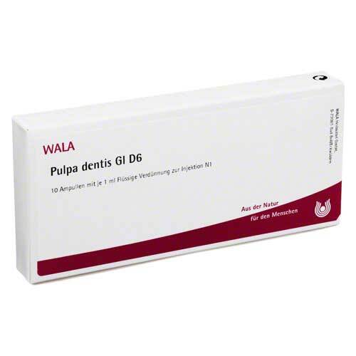 PULPA DENTIS GL D 6 Ampullen - 1
