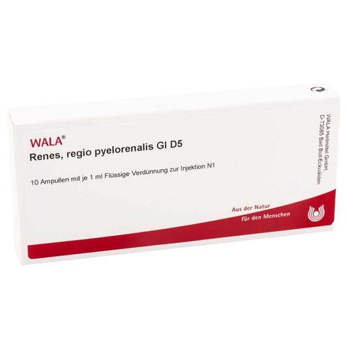 RENES REGIO pyelorenalis GL D 5 Ampullen - 1