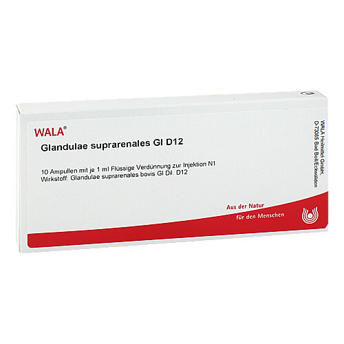 GLANDULAE SUPRARENALES GL D 12 Ampullen - 1