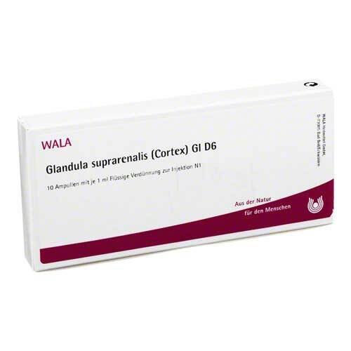 GLANDULA SUPRARENALES cortex GL D 6 Ampullen - 1