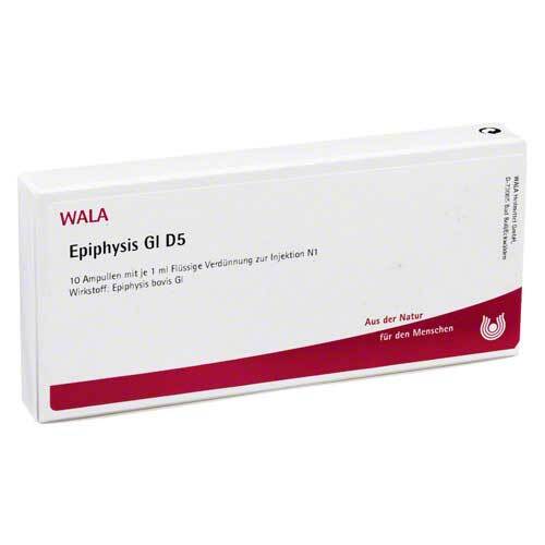 EPIPHYSIS GL D 5 Ampullen - 1